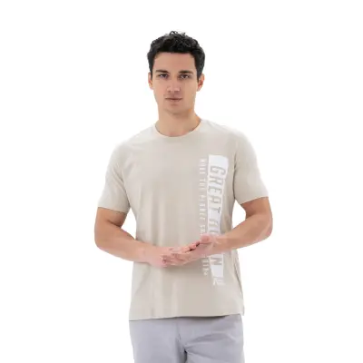 картинка Футболка ARMA 4051 T-SHIRTS beige 